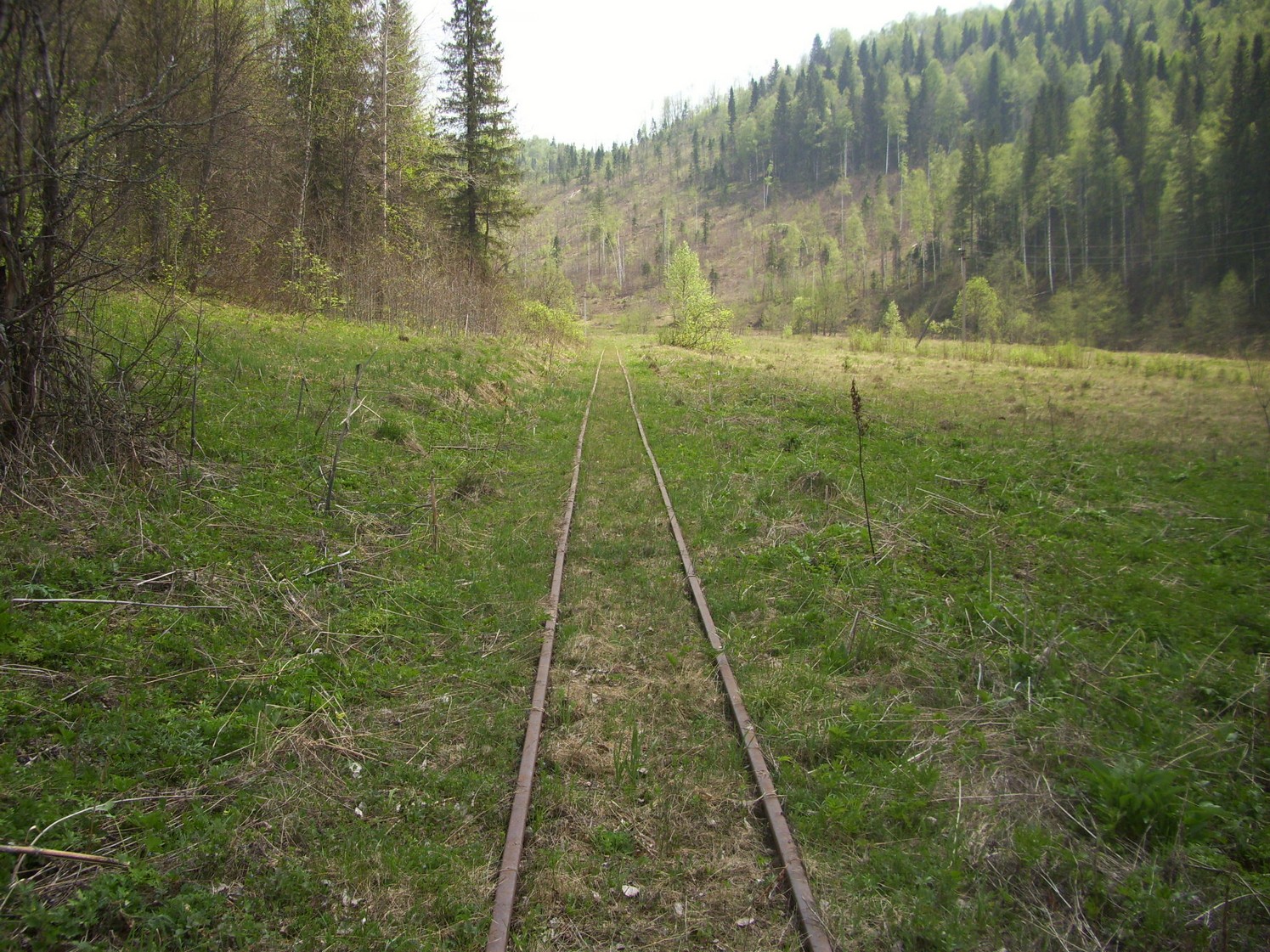 Яман-Елгинская узкоколейная железная дорога — фотографии, сделанные в 2010 году (часть 18)