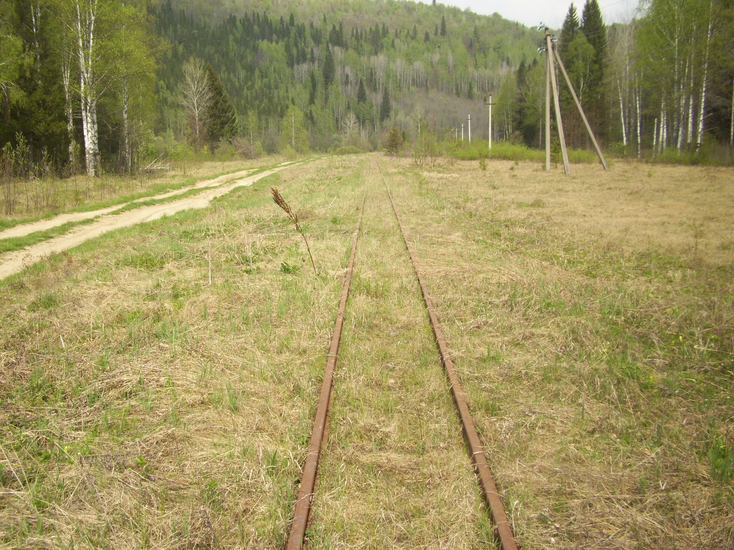Яман-Елгинская узкоколейная железная дорога — фотографии, сделанные в 2010 году (часть 20)