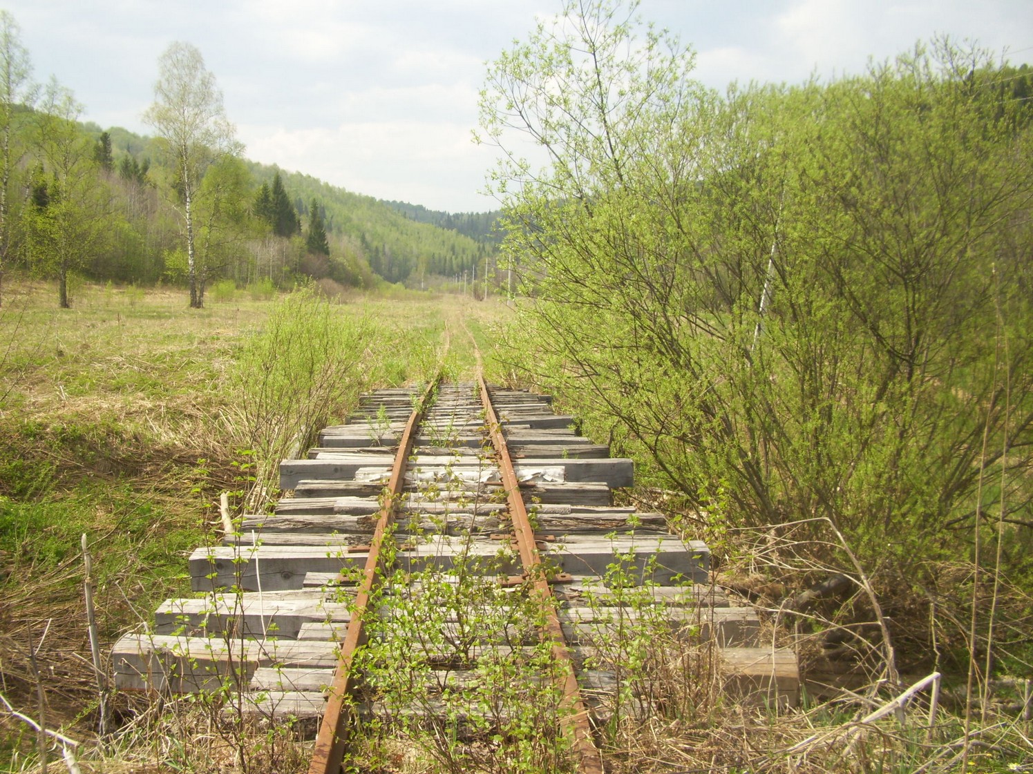 Яман-Елгинская узкоколейная железная дорога — фотографии, сделанные в 2010 году (часть 21)