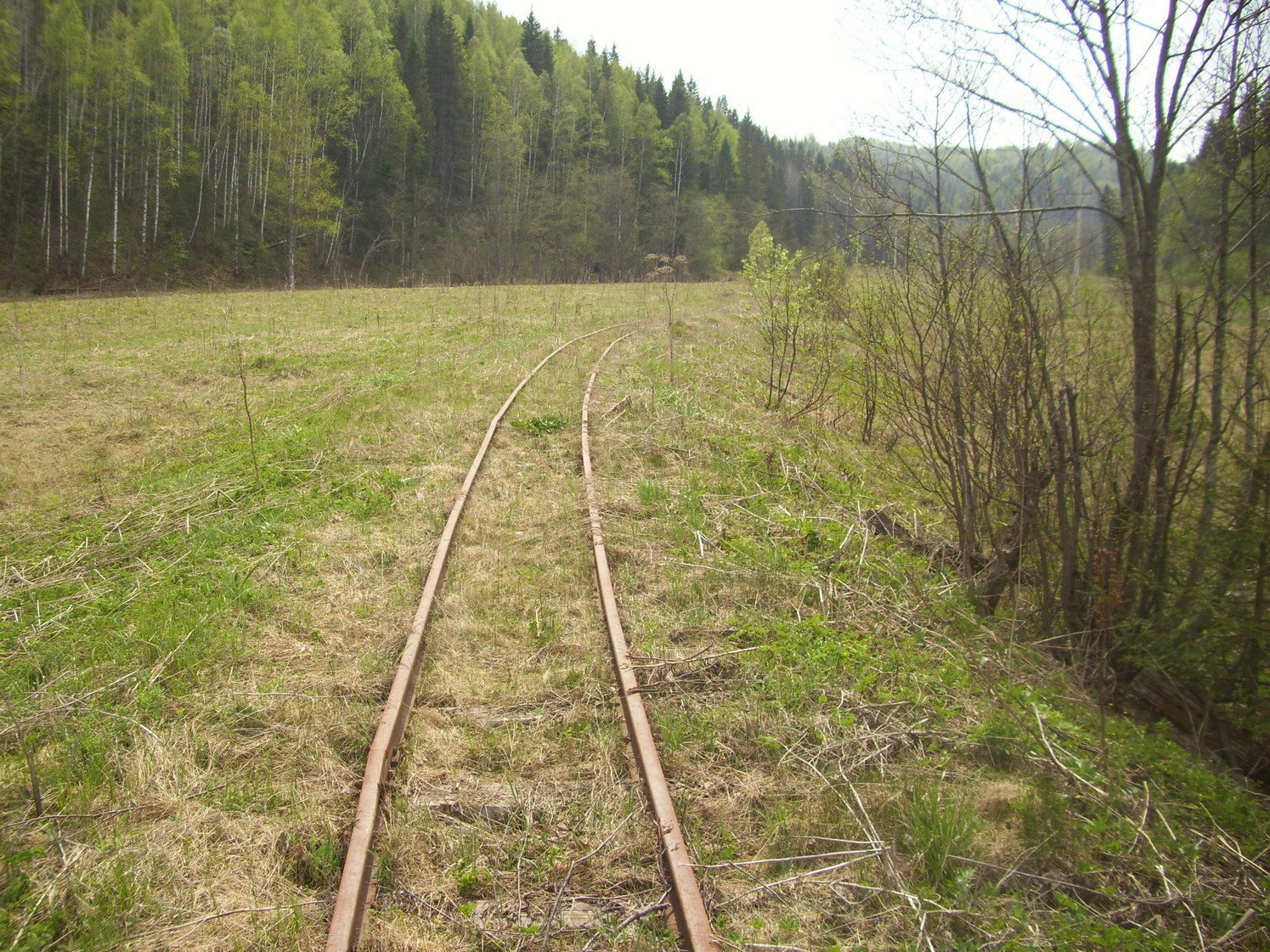 Яман-Елгинская узкоколейная железная дорога — фотографии, сделанные в 2010 году (часть 22)