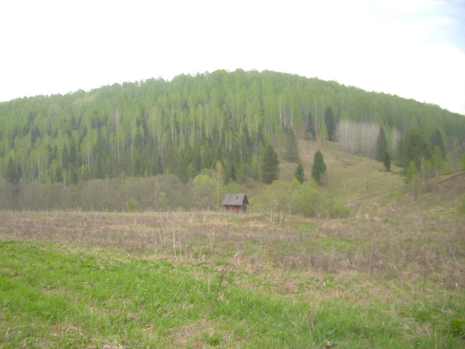 Яман-Елгинская узкоколейная железная дорога — фотографии, сделанные в 2010 году (часть 23)
