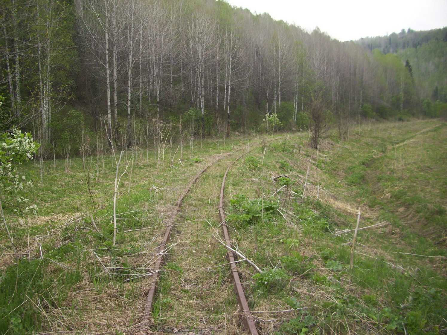Яман-Елгинская узкоколейная железная дорога — фотографии, сделанные в 2010 году (часть 24)