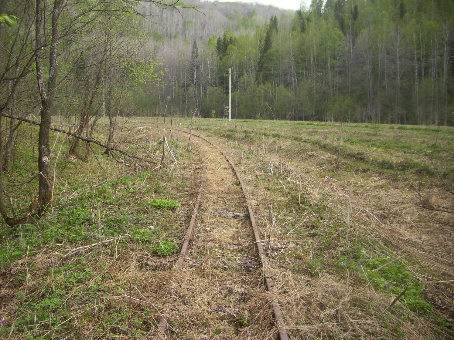 Яман-Елгинская узкоколейная железная дорога — фотографии, сделанные в 2010 году (часть 25)