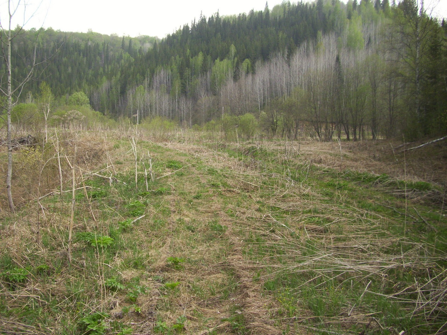 Яман-Елгинская узкоколейная железная дорога — фотографии, сделанные в 2010 году (часть 26)