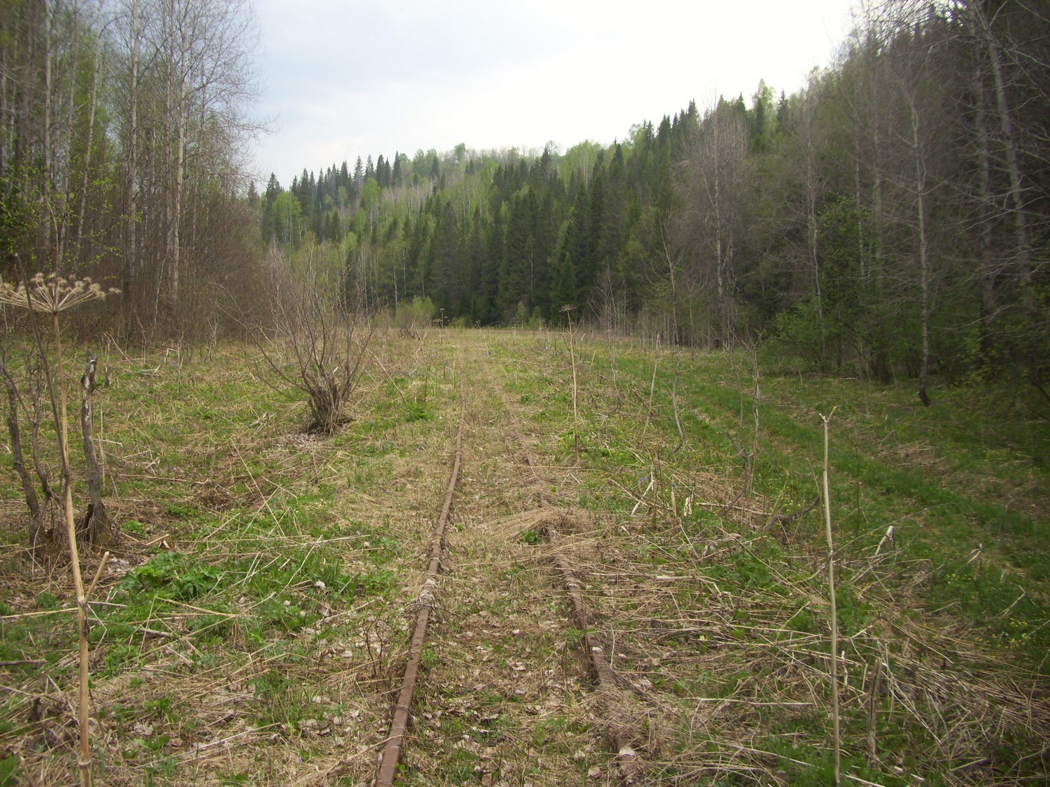 Яман-Елгинская узкоколейная железная дорога — фотографии, сделанные в 2010 году (часть 27)