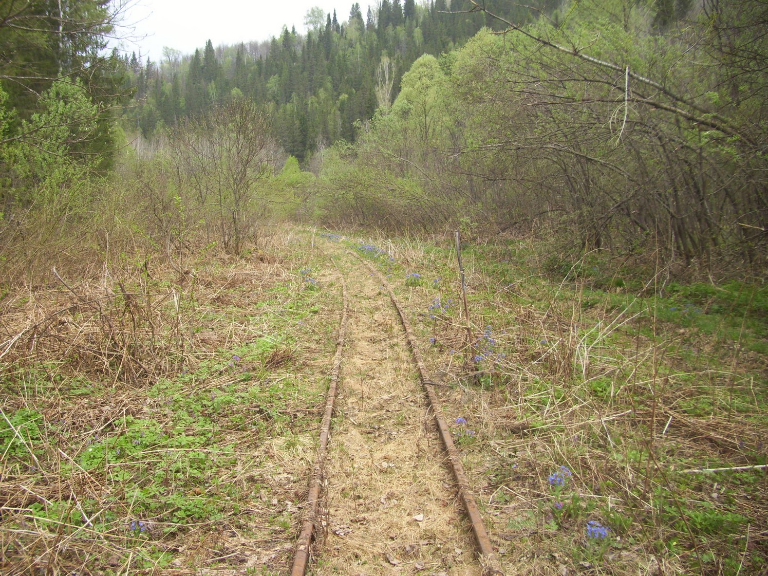 Яман-Елгинская узкоколейная железная дорога — фотографии, сделанные в 2010 году (часть 28)