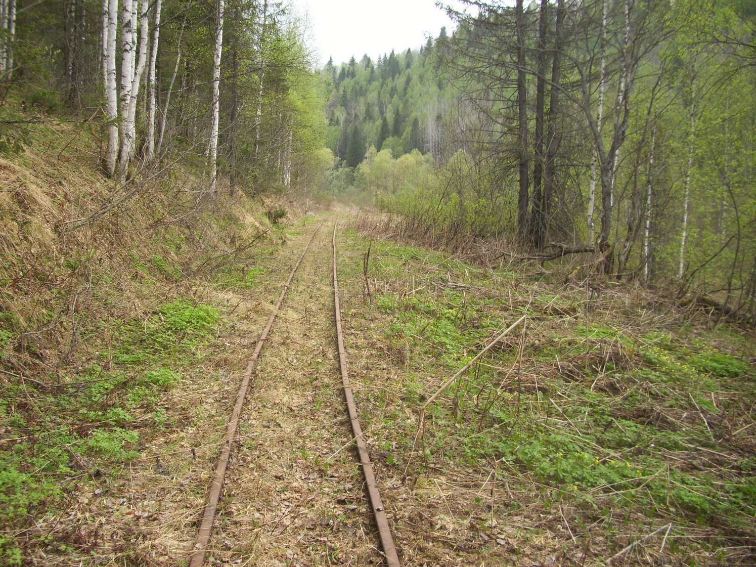 Яман-Елгинская узкоколейная железная дорога — фотографии, сделанные в 2010 году (часть 30)