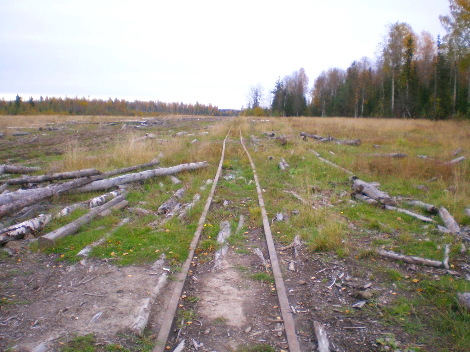 Альмежская узкоколейная железная дорога  —  фотографии, сделанные в 2007 году (часть 3)