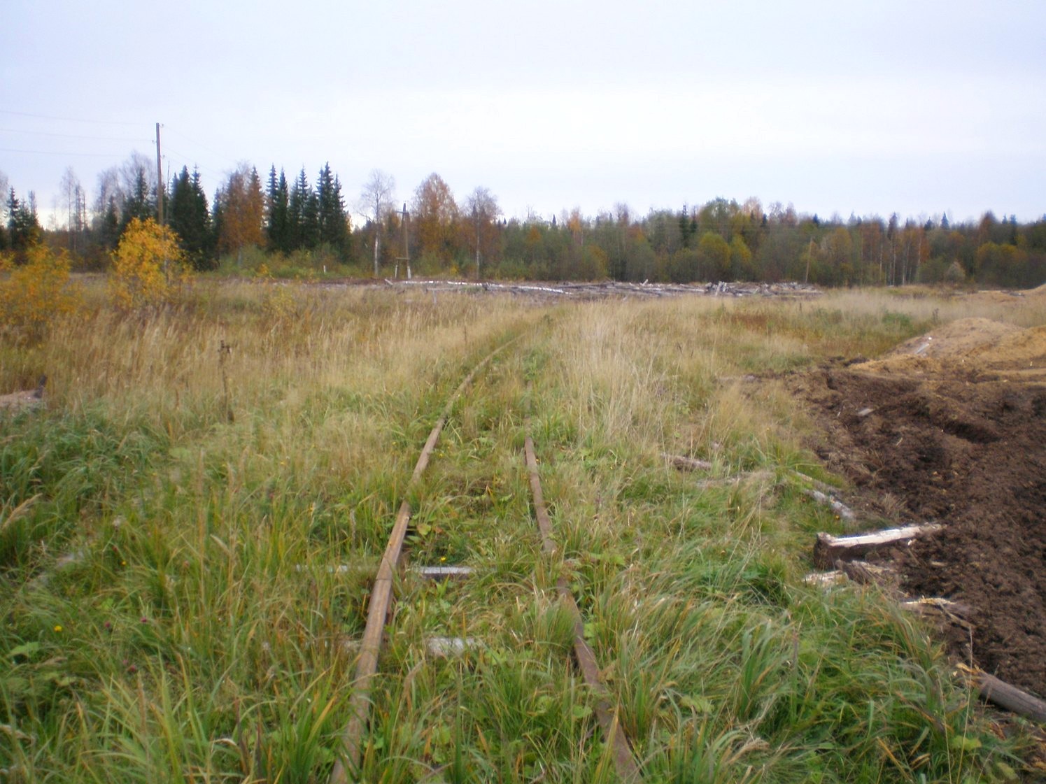 Альмежская узкоколейная железная дорога  —  фотографии, сделанные в 2007 году (часть 4)