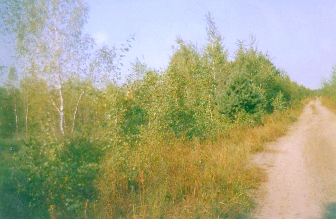 Узкоколейная железная дорога Брянского фосфоритного завода