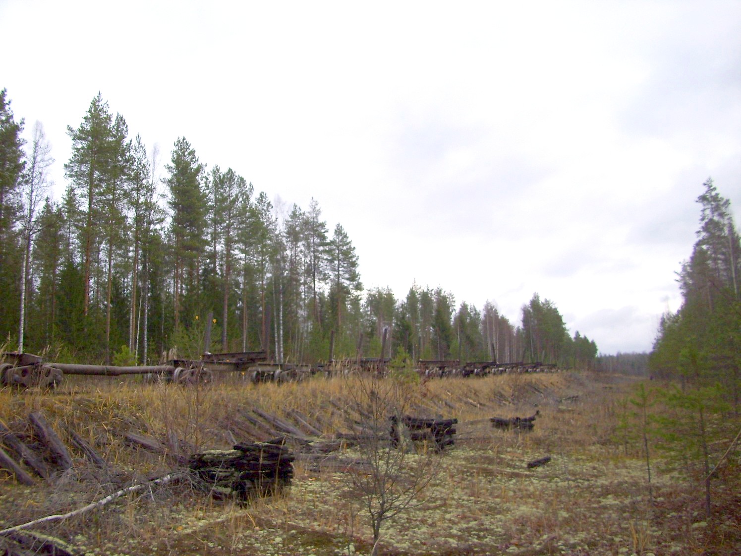 Дубровская узкоколейная железная дорога — фотографии, сделанные в 2009 году (часть 6)
