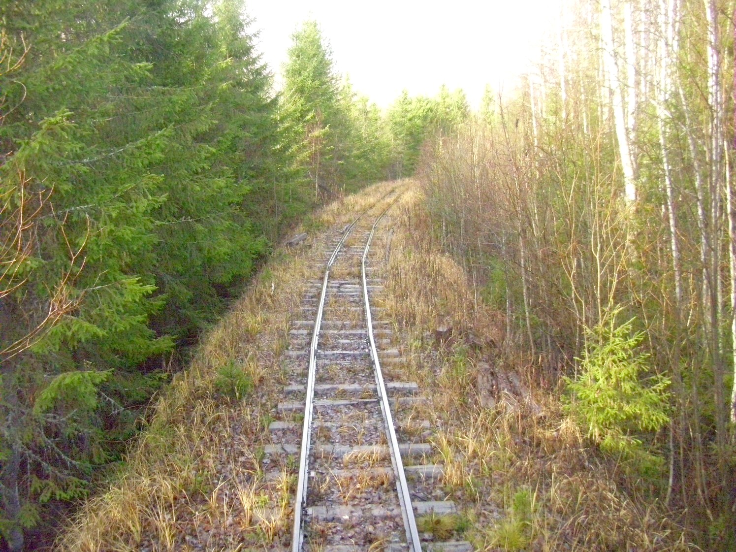 Дубровская узкоколейная железная дорога — фотографии, сделанные в 2009 году (часть 12)