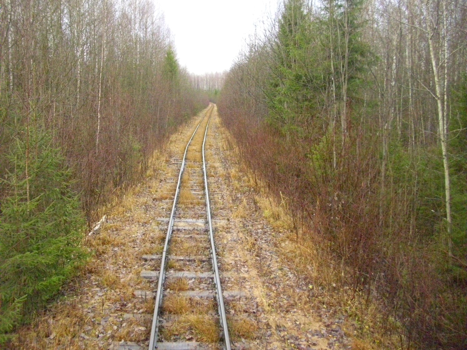 Дубровская узкоколейная железная дорога — фотографии, сделанные в 2009 году (часть 13)