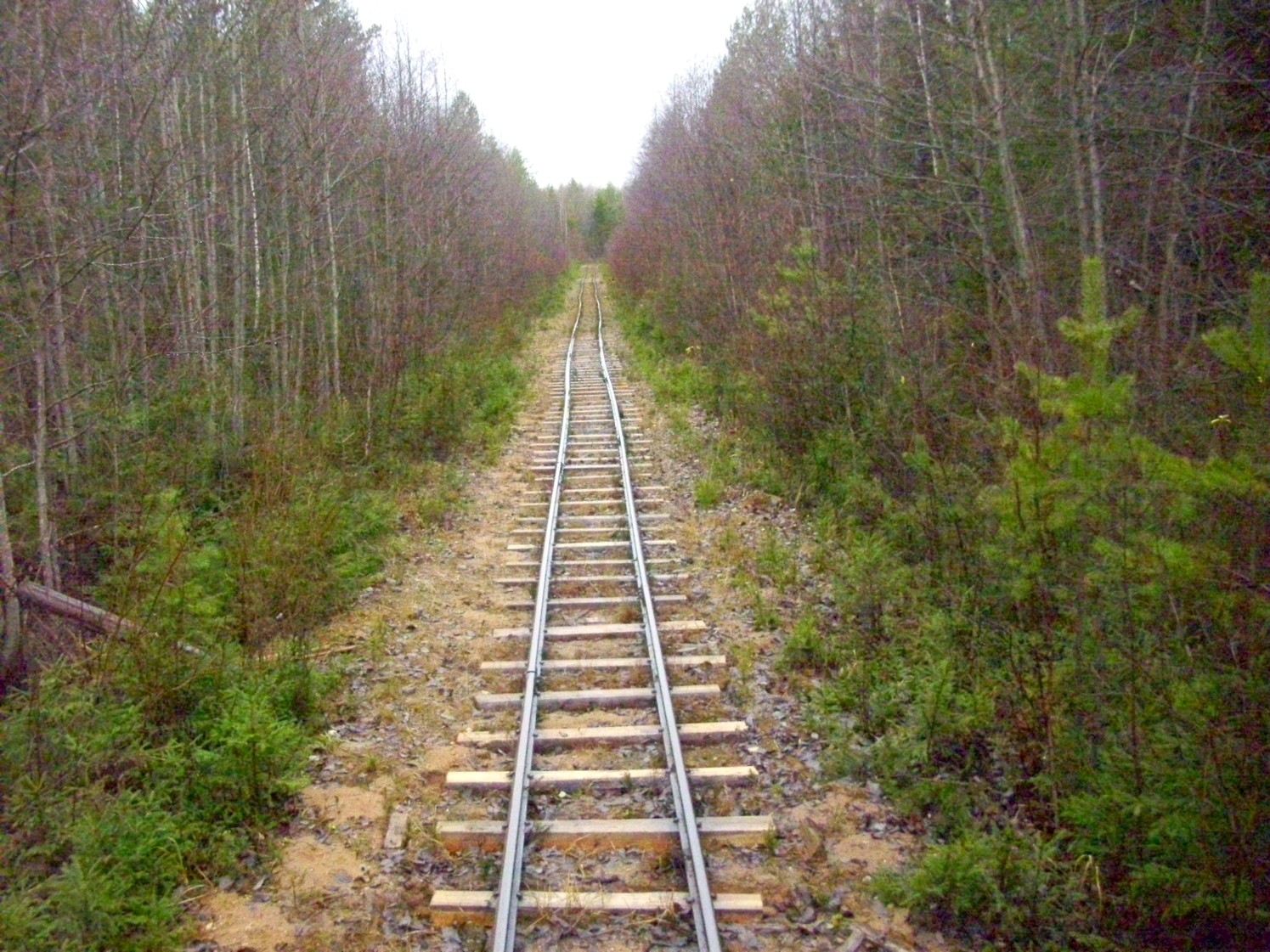 Дубровская узкоколейная железная дорога — фотографии, сделанные в 2009 году (часть 14)