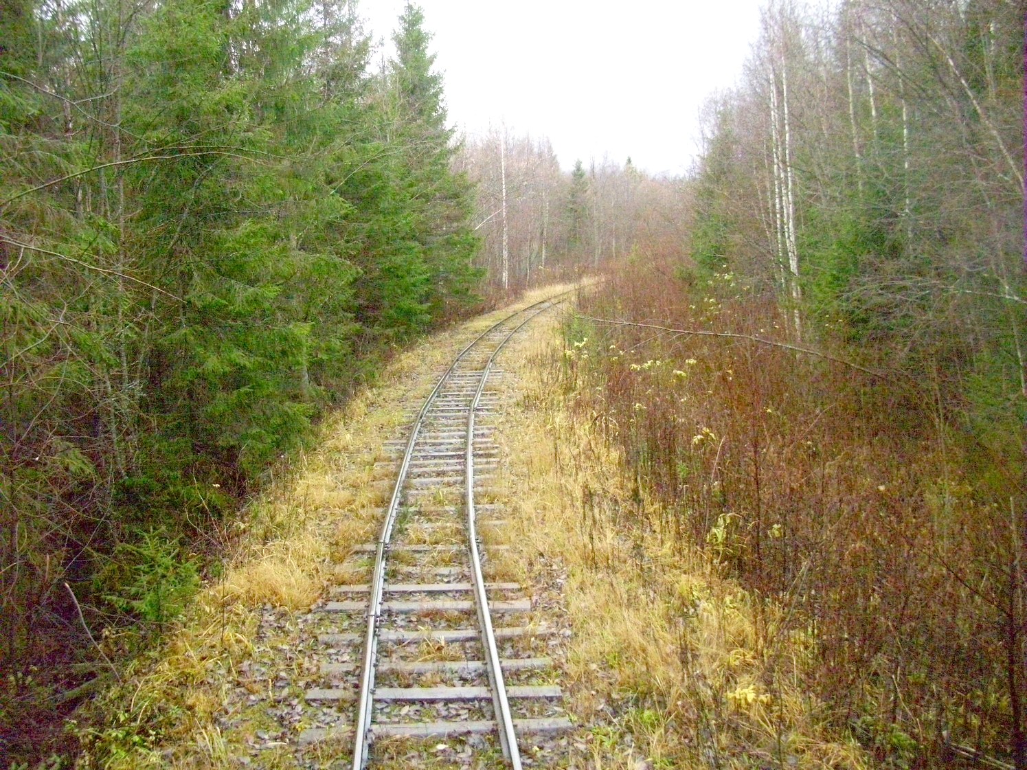 Дубровская узкоколейная железная дорога — фотографии, сделанные в 2009 году (часть 15)