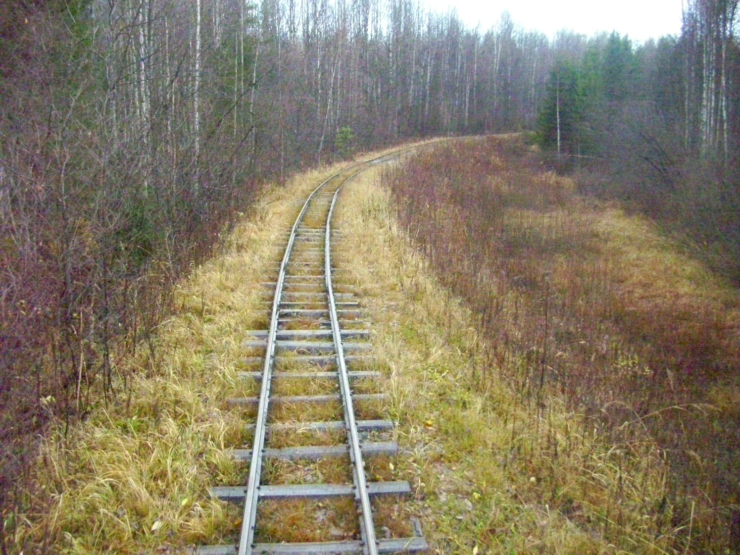 Дубровская узкоколейная железная дорога — фотографии, сделанные в 2009 году (часть 17)