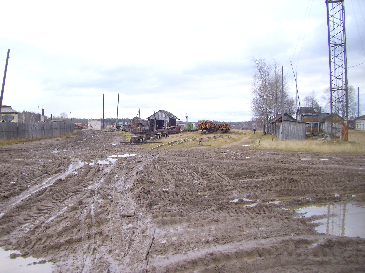 Дубровская узкоколейная железная дорога — фотографии, сделанные в 2009 году (часть 19)