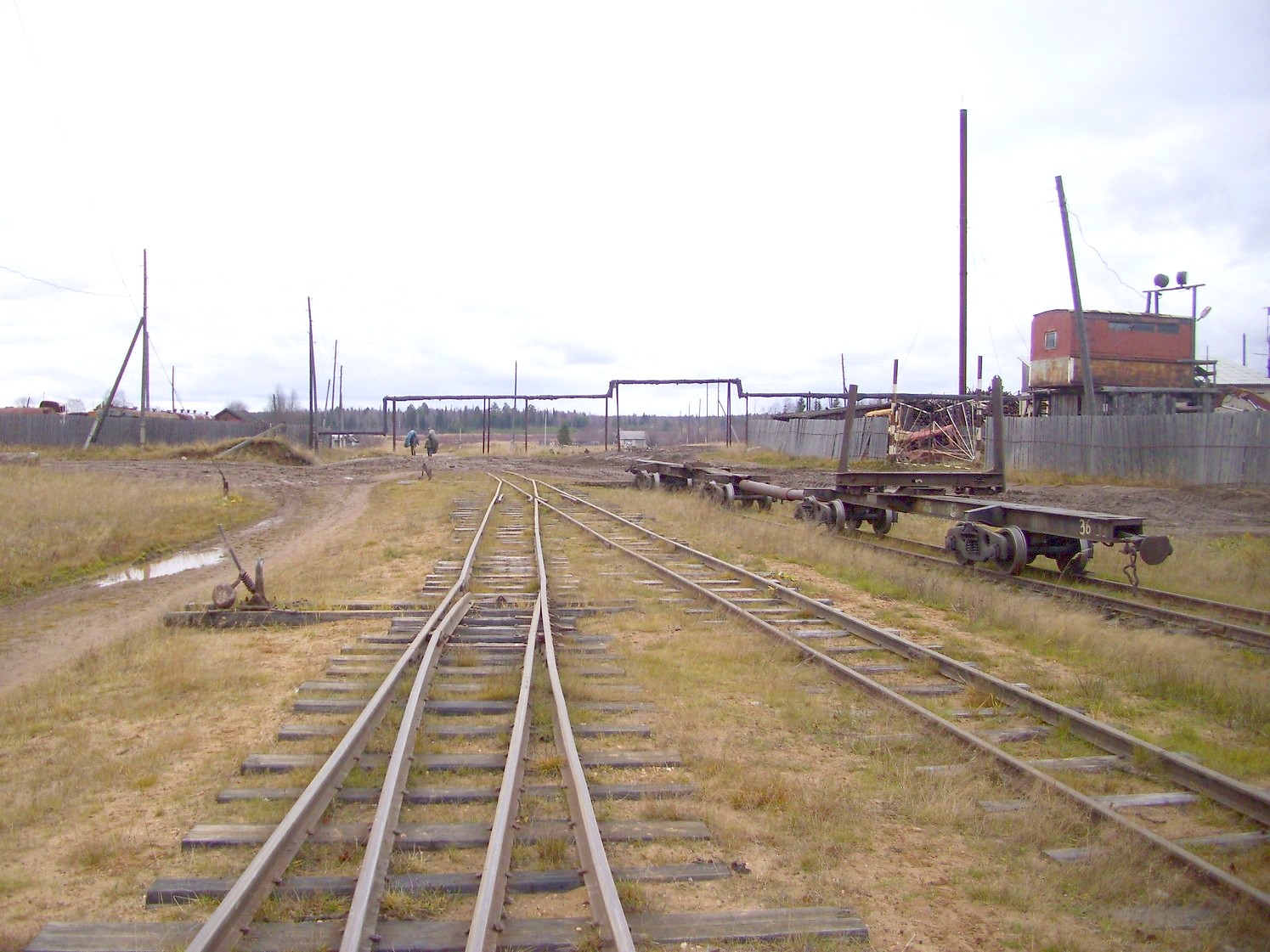 Дубровская узкоколейная железная дорога — фотографии, сделанные в 2009 году (часть 20)