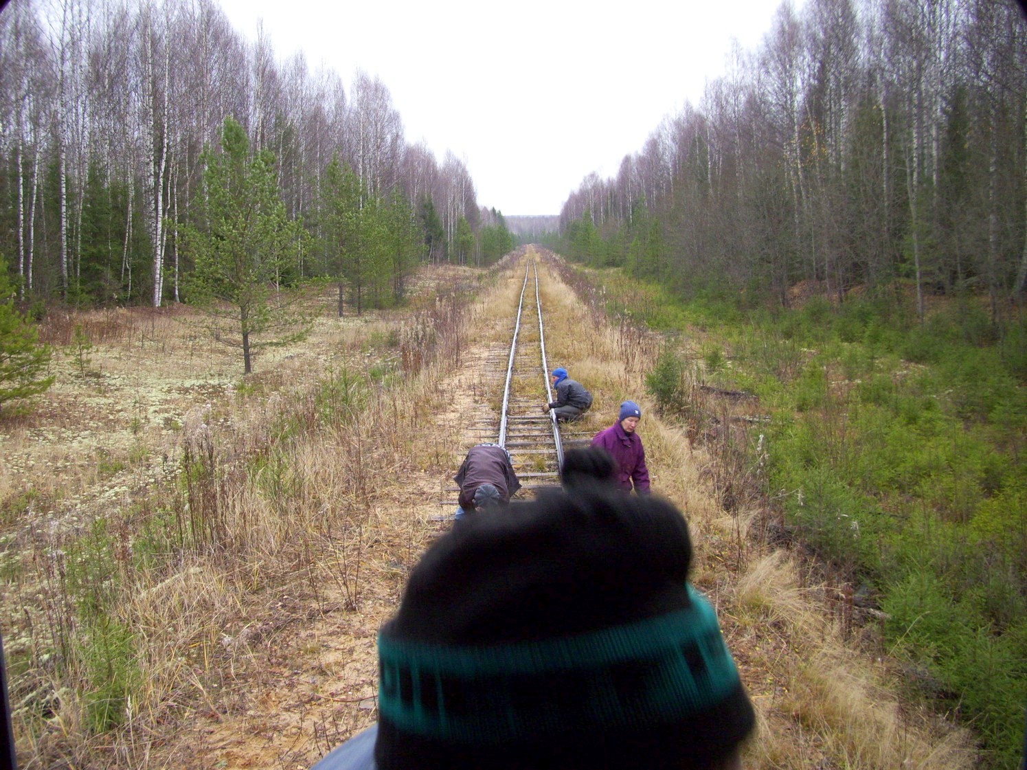 Дубровская узкоколейная железная дорога — фотографии, сделанные в 2009 году (часть 4)