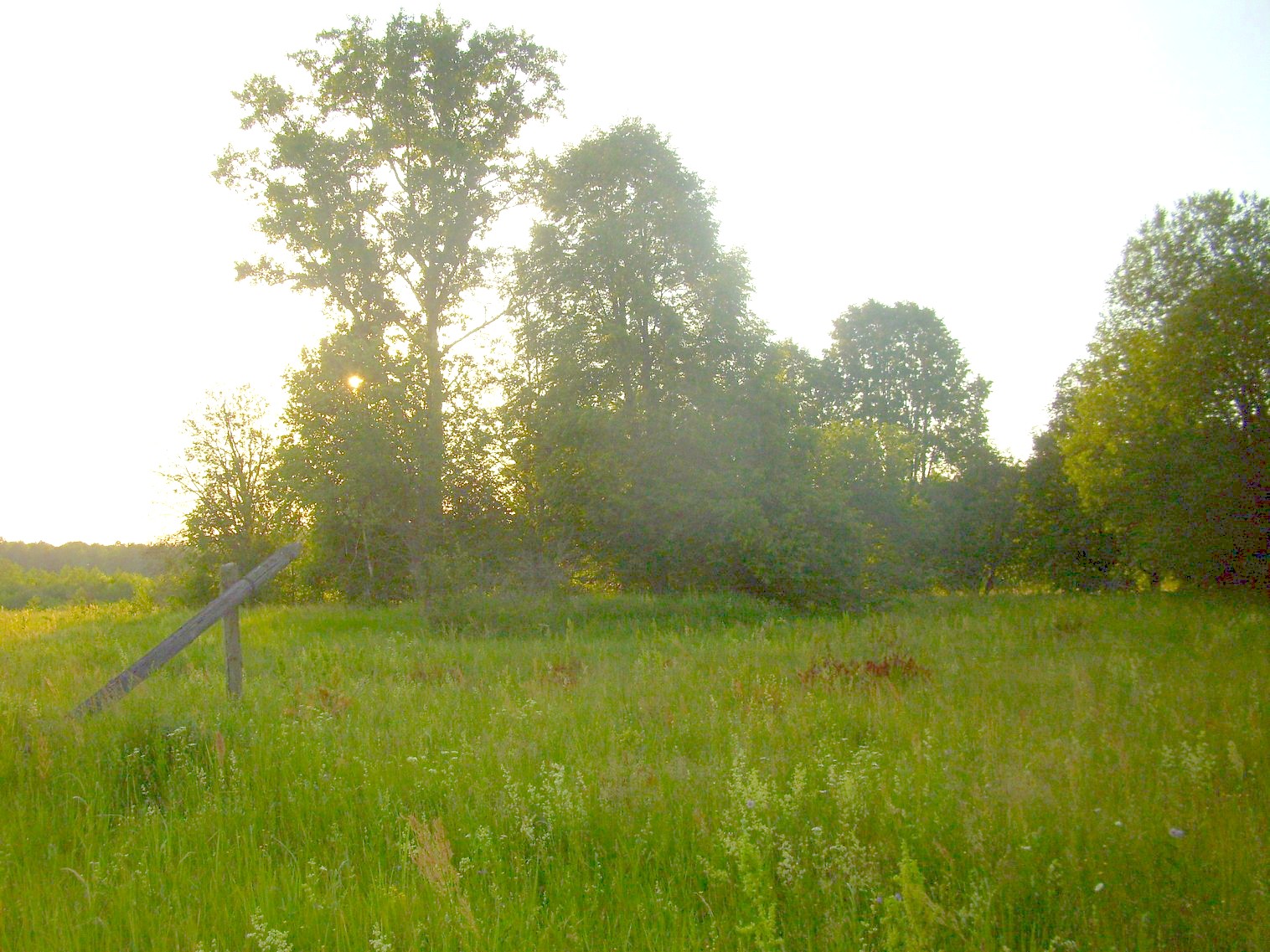Железнодорожная линия Полпинская  —  Дудорево  —  фотографии, сделанные в 2011 году (часть 10)