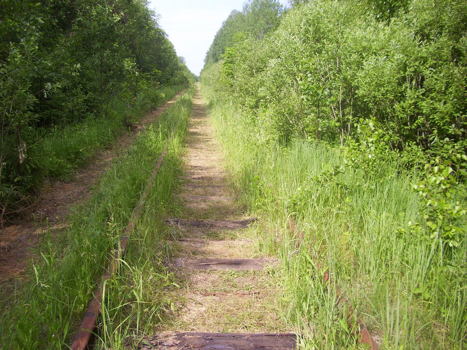Железнодорожная линия Полпинская  —  Дудорево  —  фотографии, сделанные в 2011 году (часть 14)