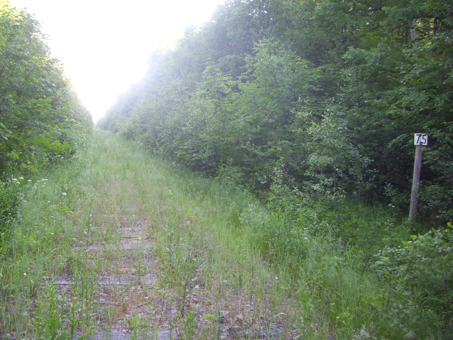 Железнодорожная линия Полпинская  —  Дудорево  —  фотографии, сделанные в 2011 году (часть 25)