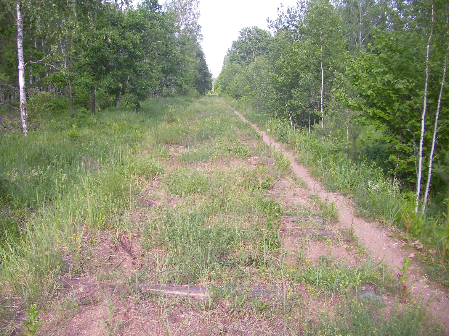 Железнодорожная линия Полпинская  —  Дудорево  —  фотографии, сделанные в 2011 году (часть 5)