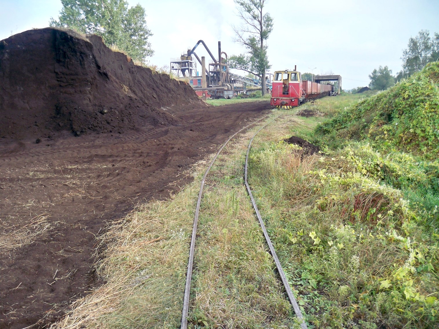 Узкоколейная  железная дорога Кобринского торфопредприятия  —  фотографии, сделанные в 2013 году (часть 2)