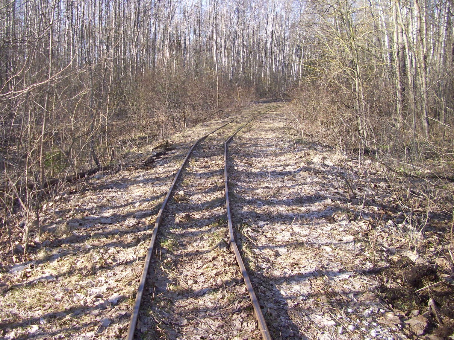 Узкоколейная железная дорога торфопредприятия в Кабушкино
  —  фотографии, сделанные в 2012 году (часть 3)
