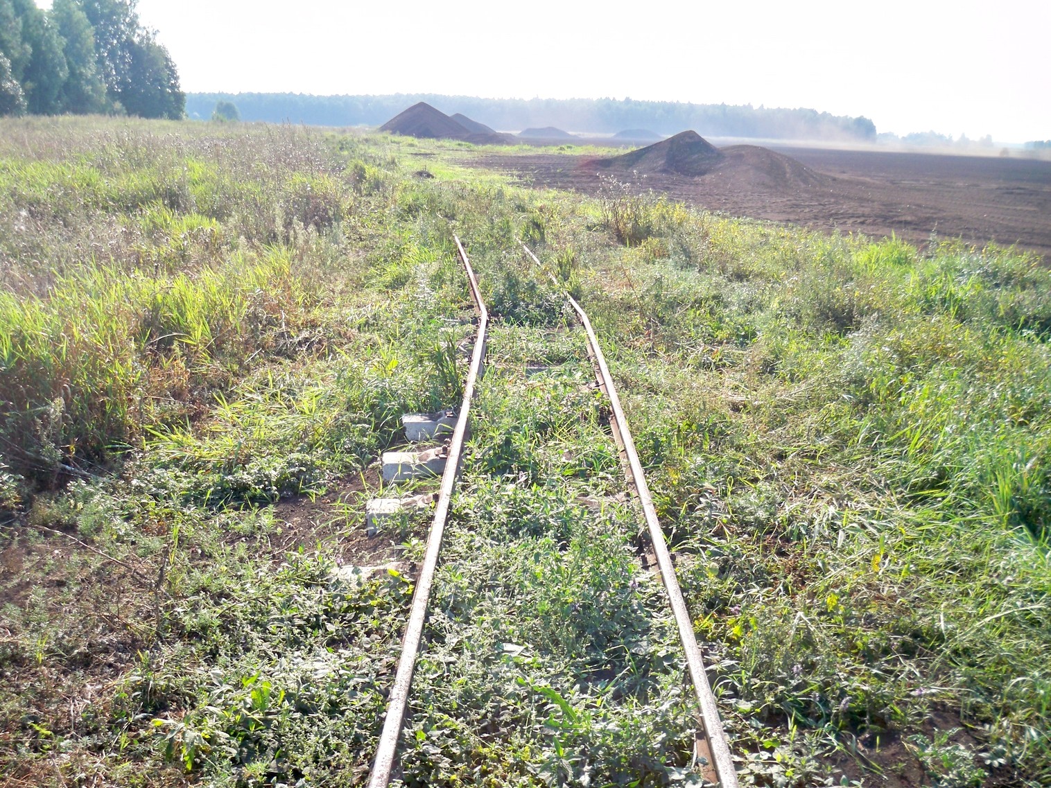 Узкоколейная железная дорога торфопредприятия в Кабушкино
  —  фотографии, сделанные в 2013 году (часть 3)