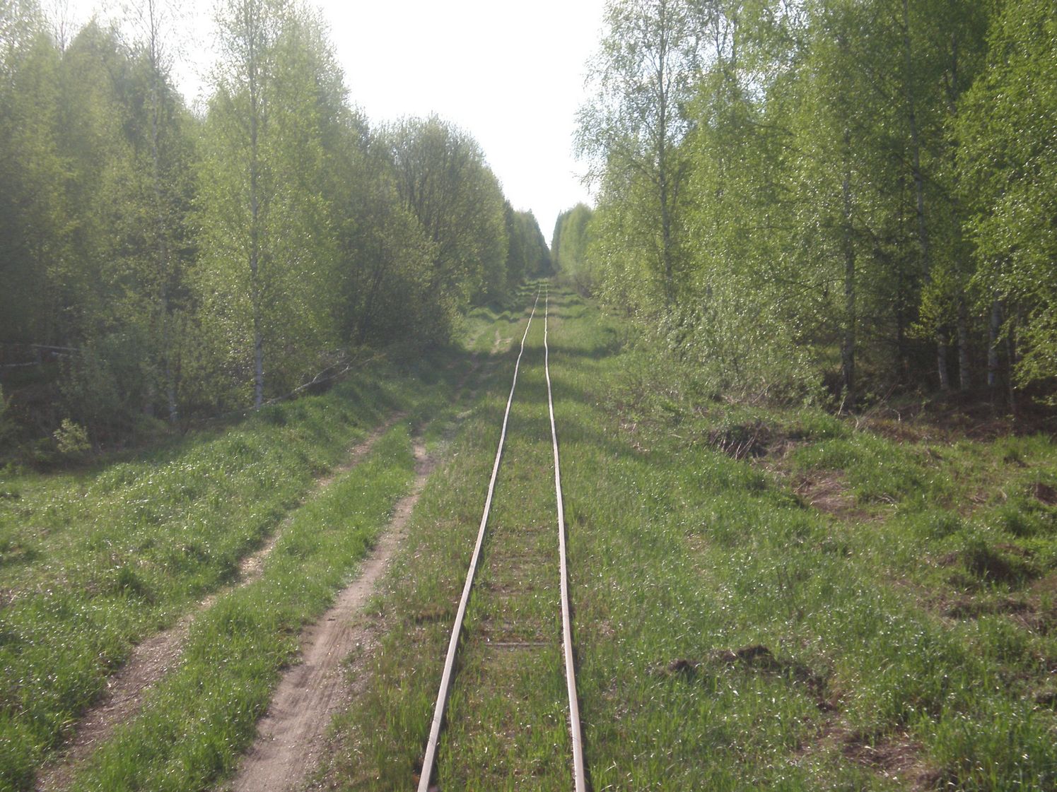 Узкоколейная железная дорога Каринского транспортного управления — фотографии, сделанные в 2008 году (часть 15)