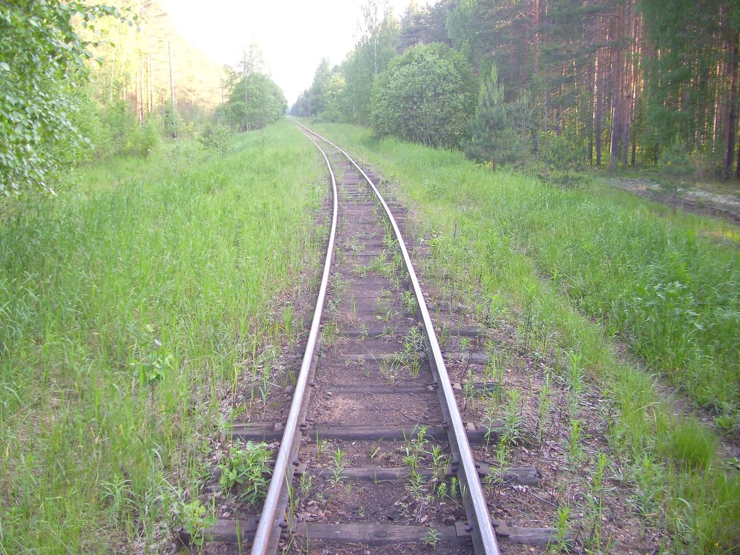Узкоколейная железная дорога Каринского транспортного управления — фотографии, сделанные в 2012 году (часть 10)