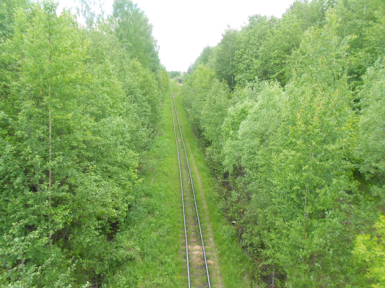 Узкоколейная железная дорога Каринского транспортного управления — фотографии, сделанные в 2017 году