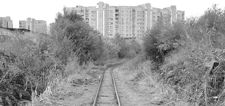 Узкоколейная железная дорога Каринского транспортного управления