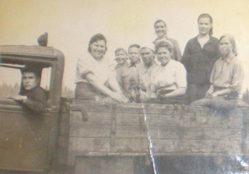 Узкоколейная железная дорога Каринского транспортного управления — исторические фотографии (часть 7)