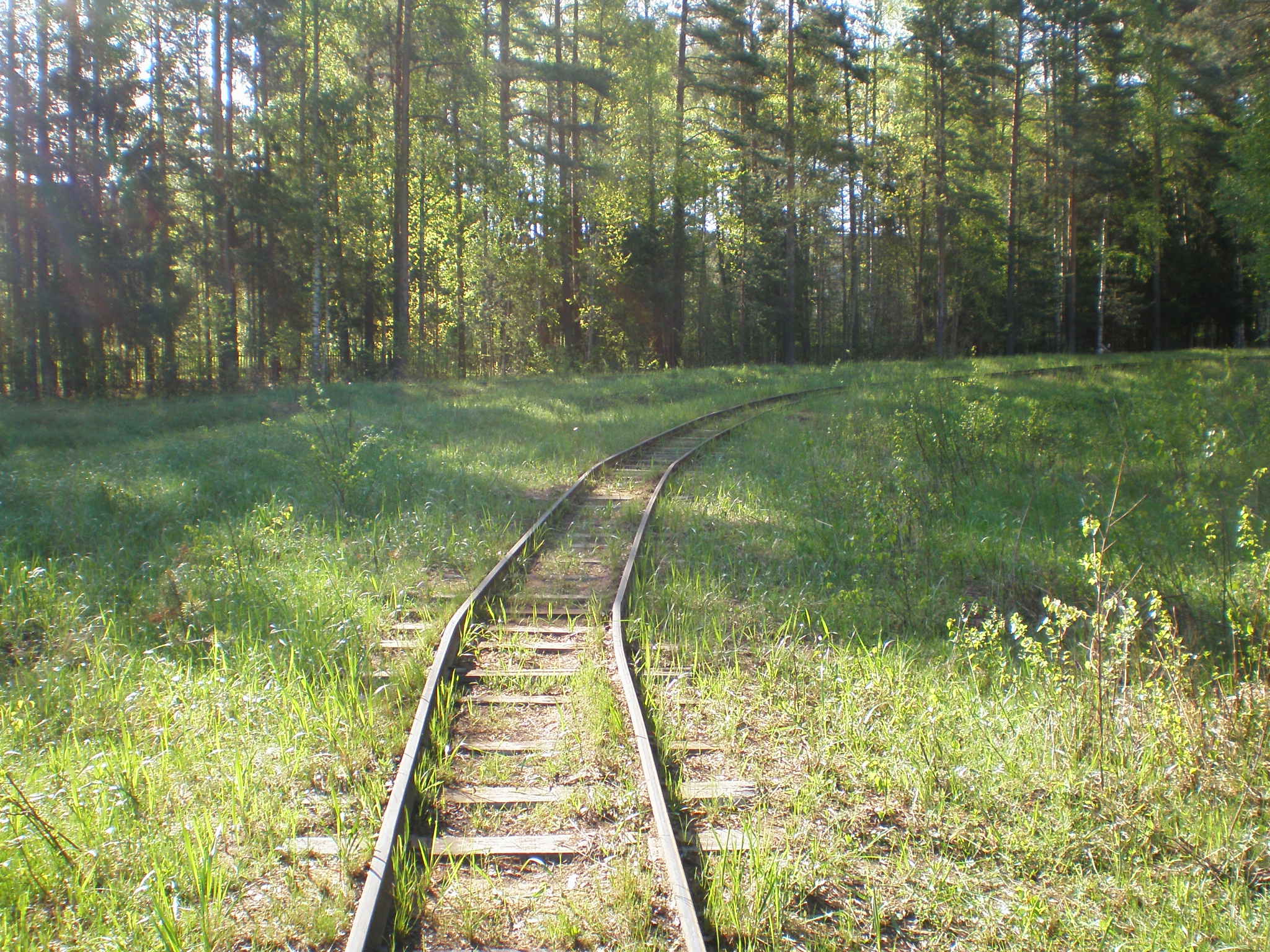 Узкоколейная железная дорога  Пищальского торфопредприятия —  фотографии, сделанные в 2008 году (часть 2)