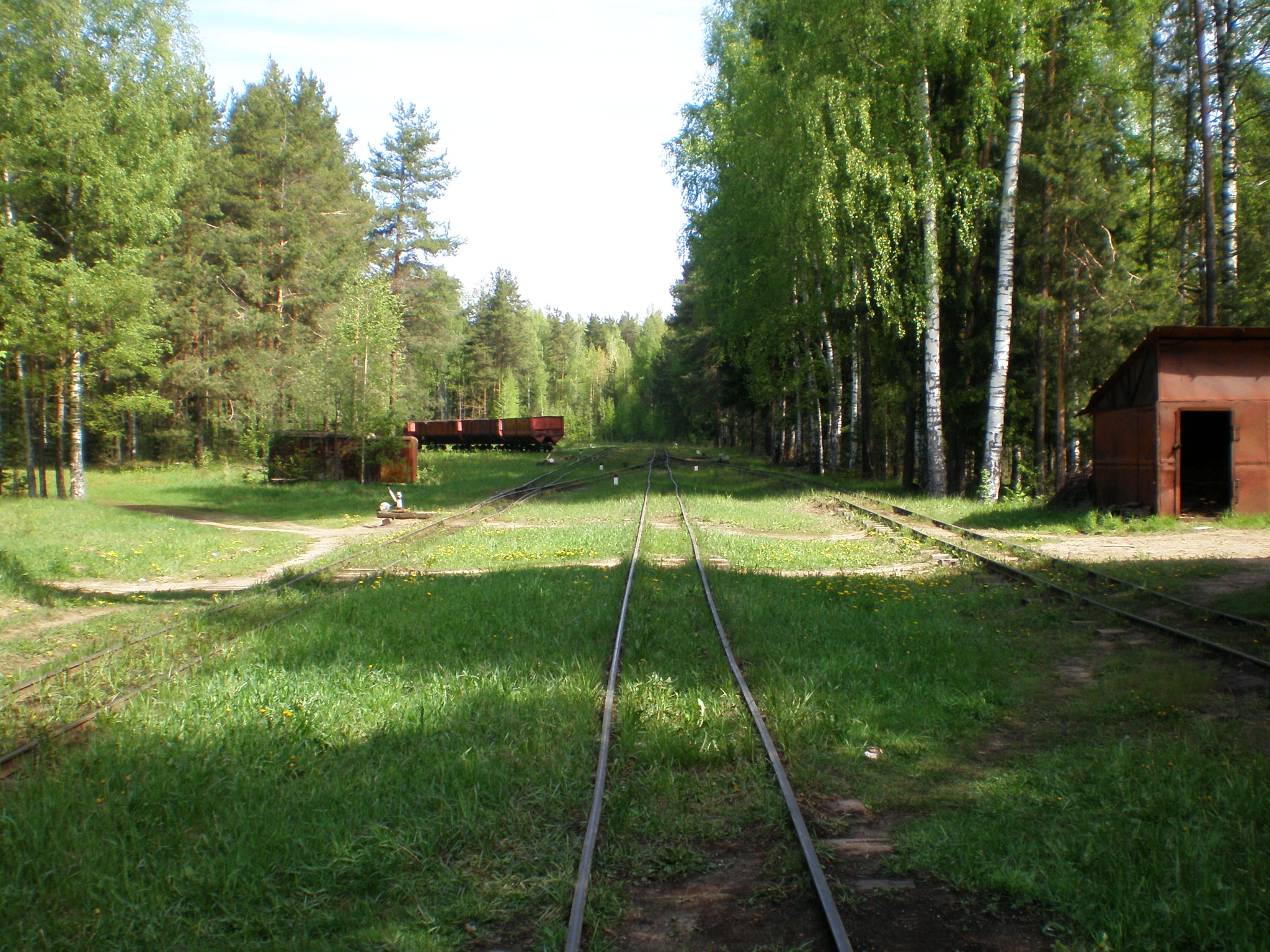 Узкоколейная железная дорога  Пищальского торфопредприятия —  фотографии, сделанные в 2008 году (часть 14)