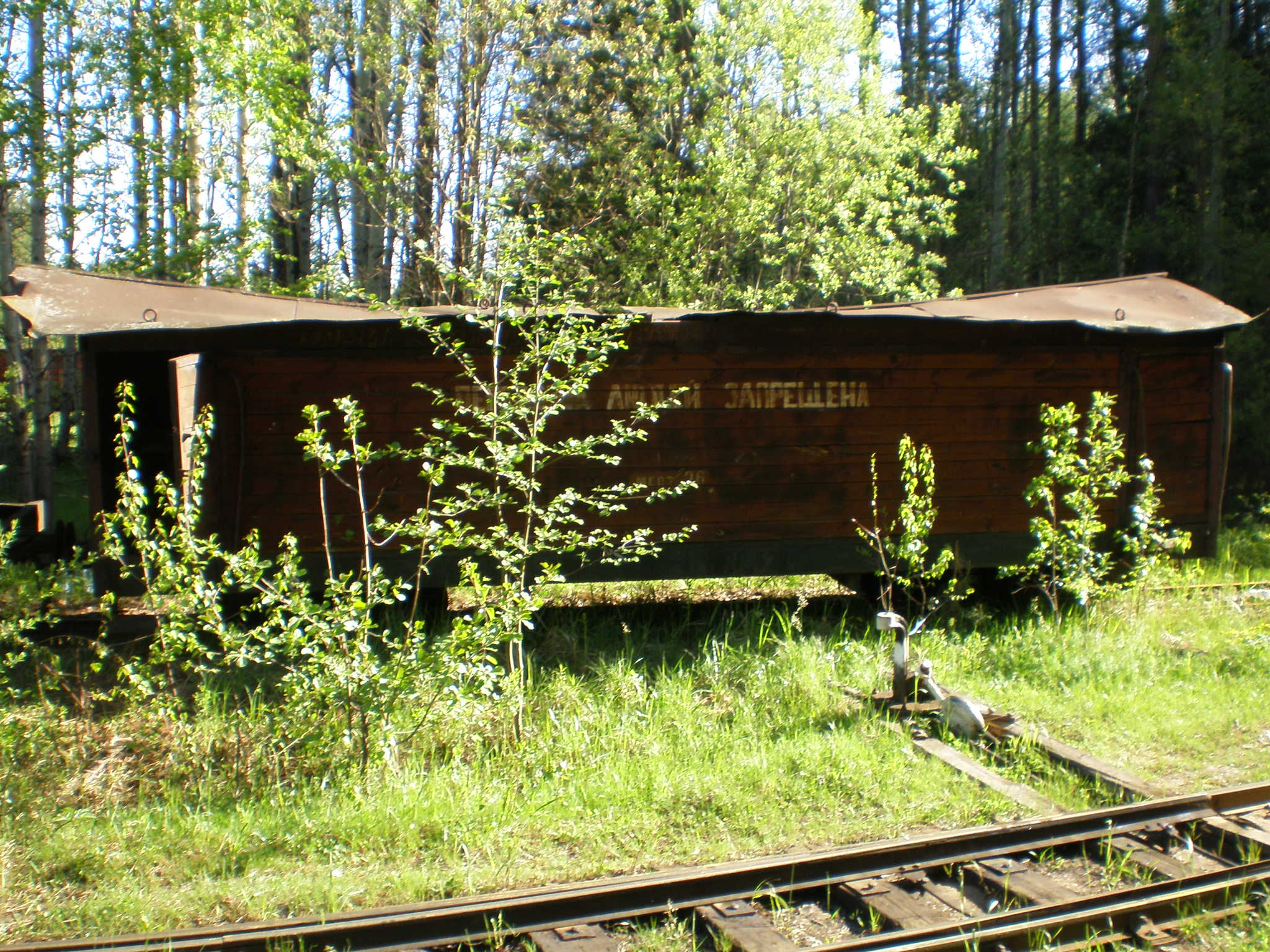 Узкоколейная железная дорога  Пищальского торфопредприятия —  фотографии, сделанные в 2008 году (часть 4)