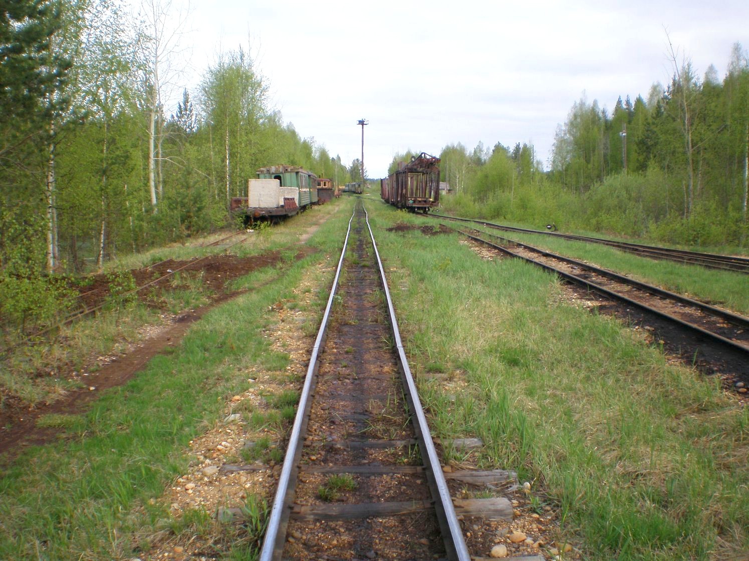 Узкоколейная железная дорога Дымного торфопредприятия   —  фотографии, сделанные в 2008 году (часть 6)