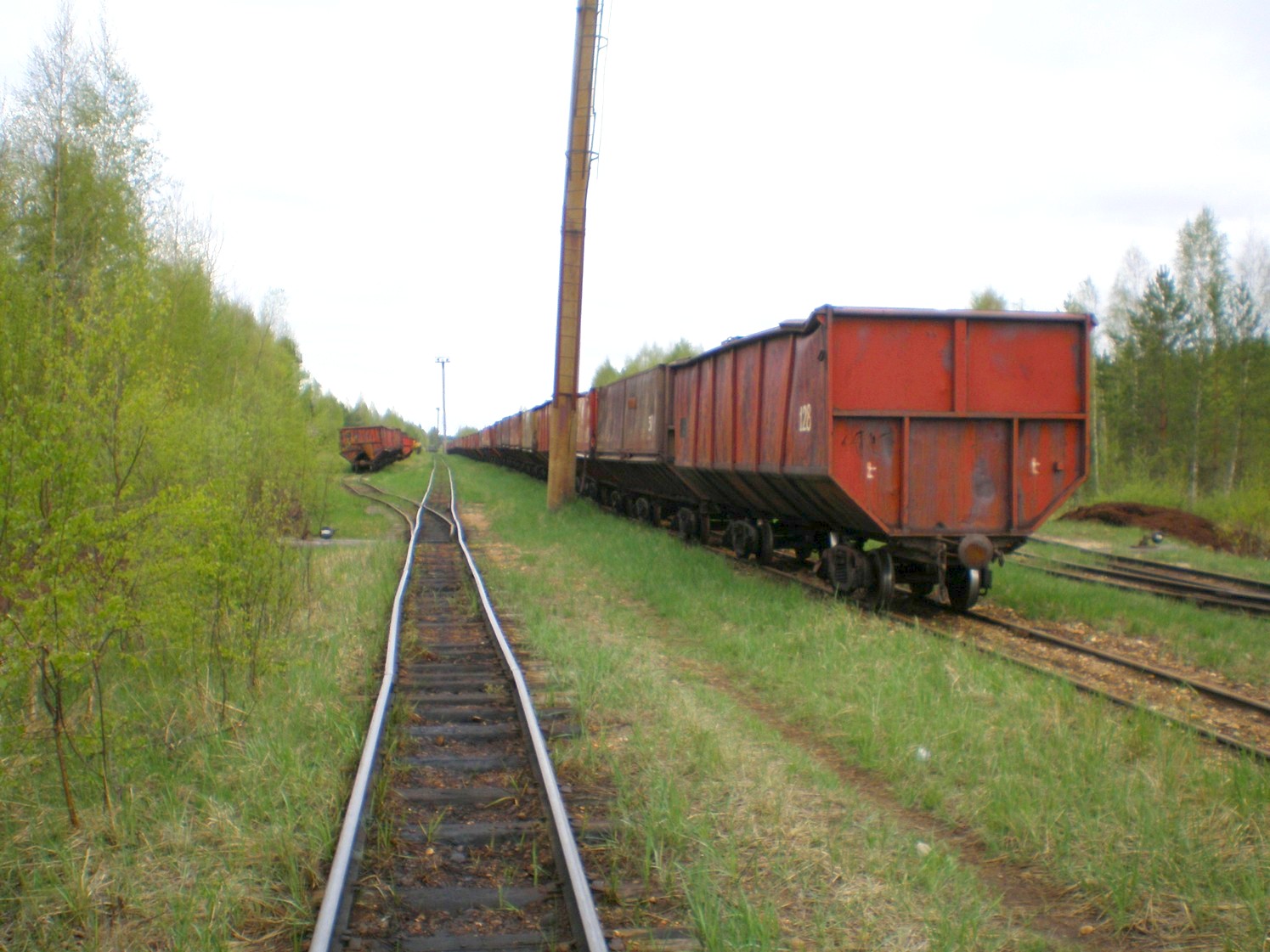 Узкоколейная железная дорога Дымного торфопредприятия   —  фотографии, сделанные в 2008 году (часть 7)