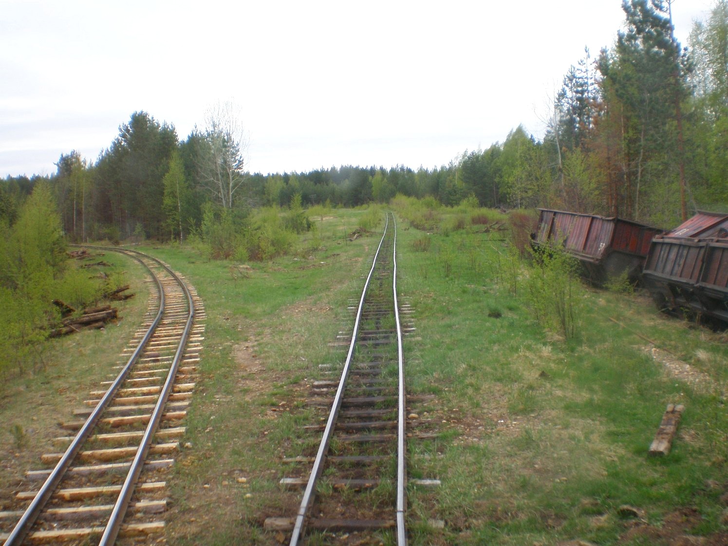 Узкоколейная железная дорога Дымного торфопредприятия   —  фотографии, сделанные в 2008 году (часть 10)