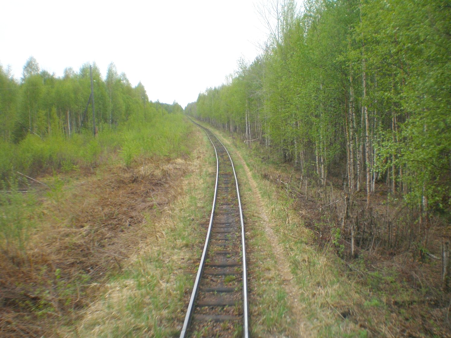Узкоколейная железная дорога Дымного торфопредприятия   —  фотографии, сделанные в 2008 году (часть 12)