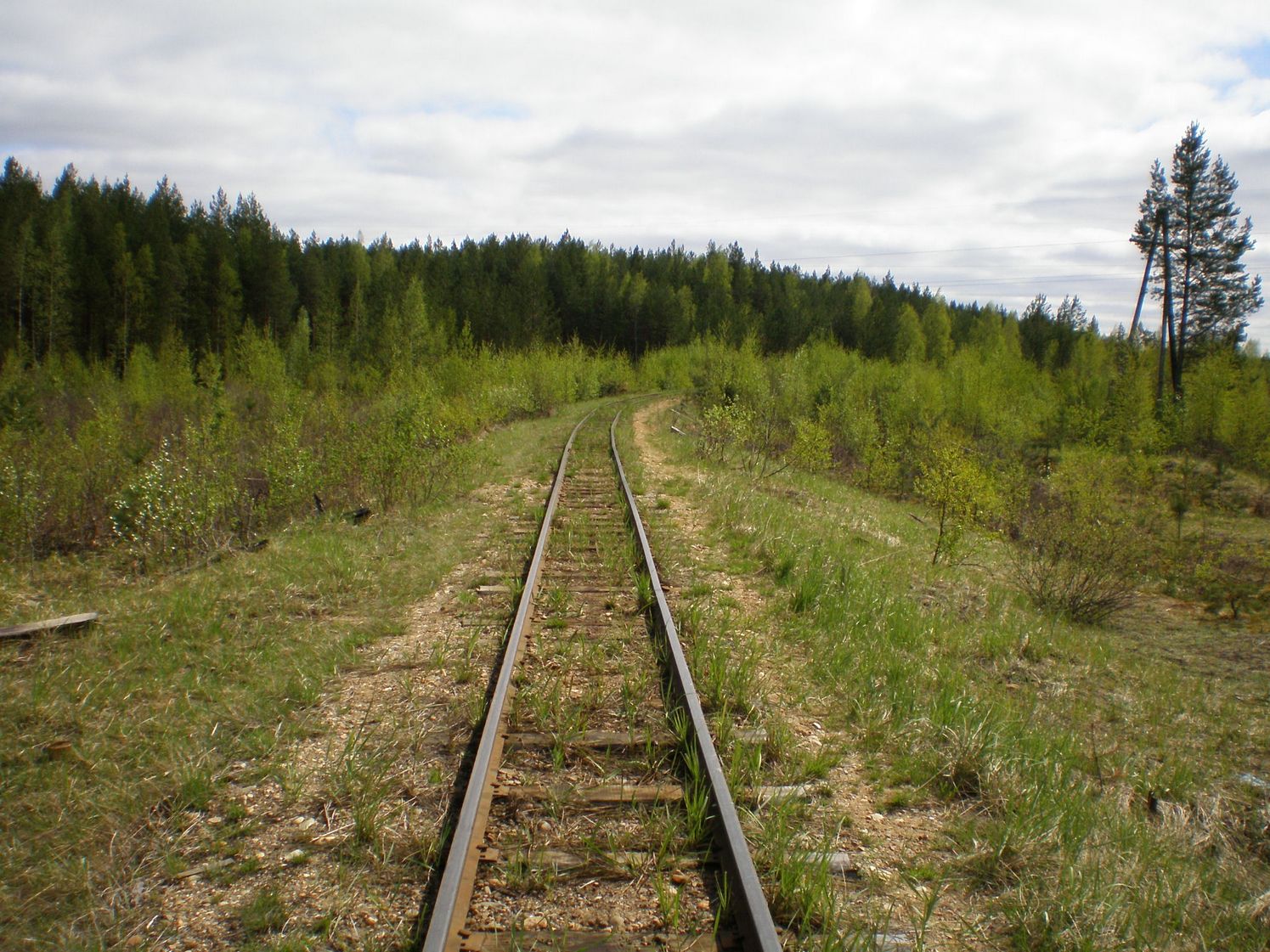 Узкоколейная железная дорога Дымного торфопредприятия   —  фотографии, сделанные в 2008 году (часть 17)
