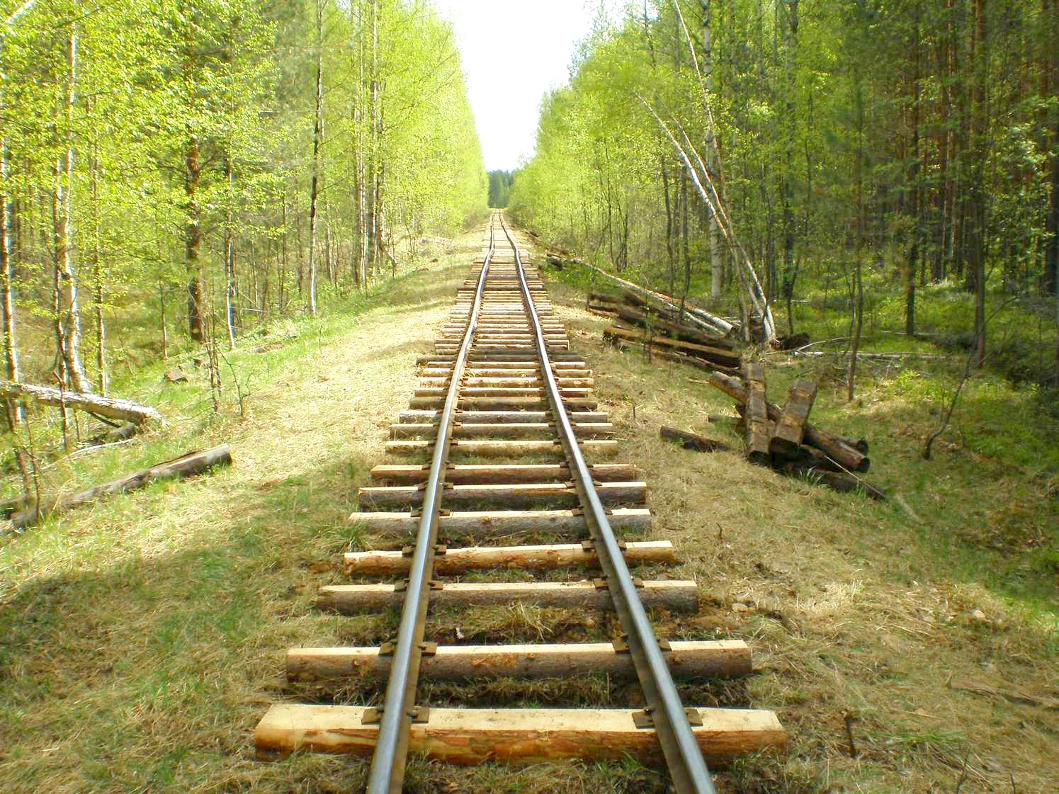 Узкоколейная железная дорога Дымного торфопредприятия   —  фотографии, сделанные в 2008 году (часть 20)