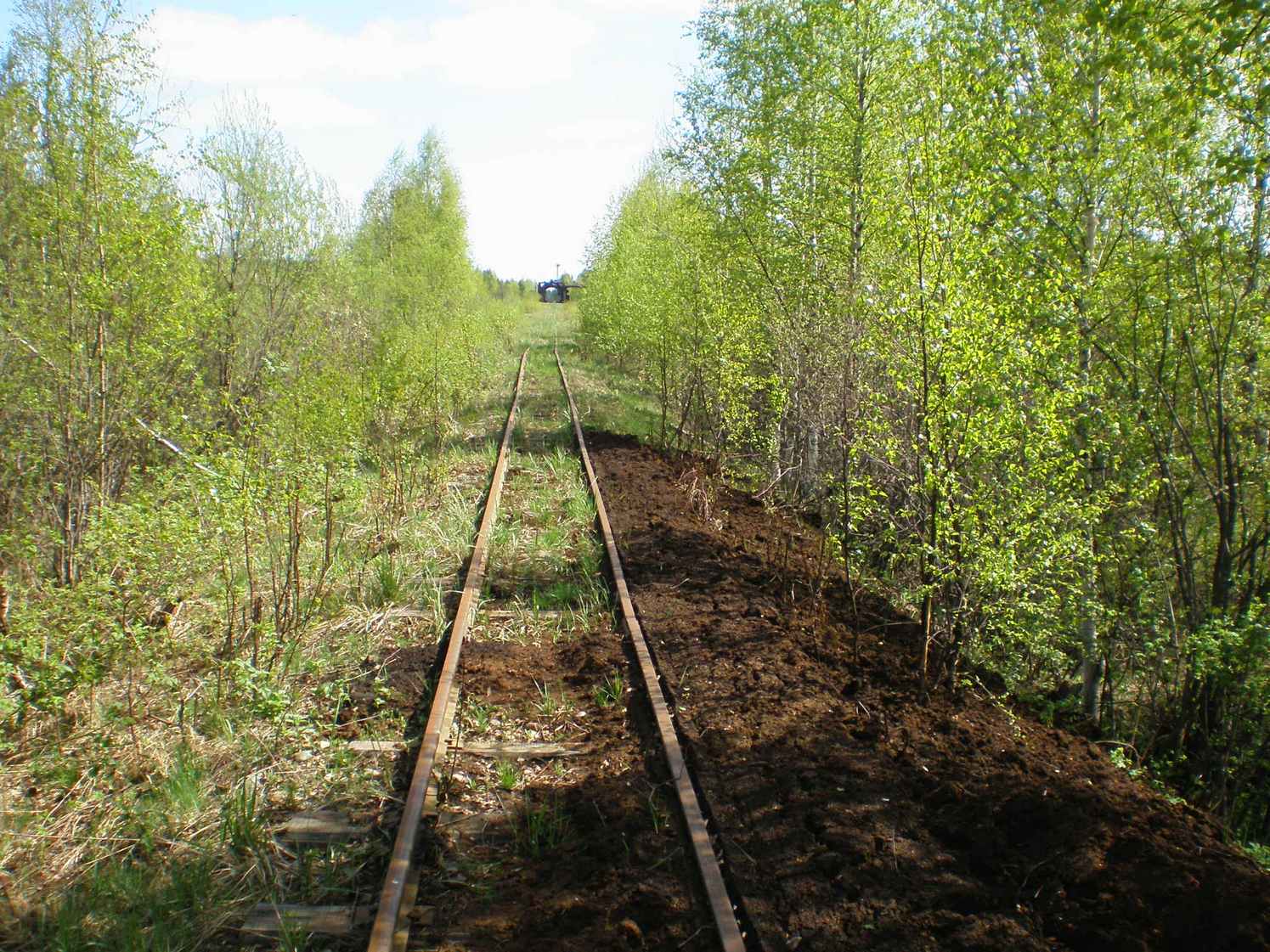 Узкоколейная железная дорога Дымного торфопредприятия   —  фотографии, сделанные в 2008 году (часть 22)
