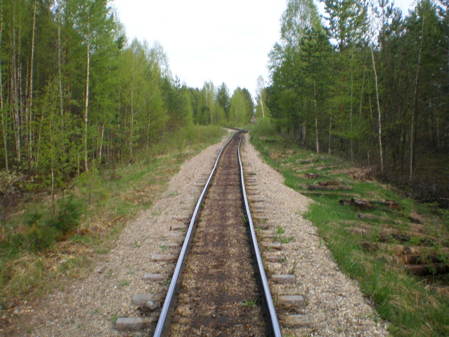 Узкоколейная железная дорога Дымного торфопредприятия   —  фотографии, сделанные в 2008 году (часть 4)