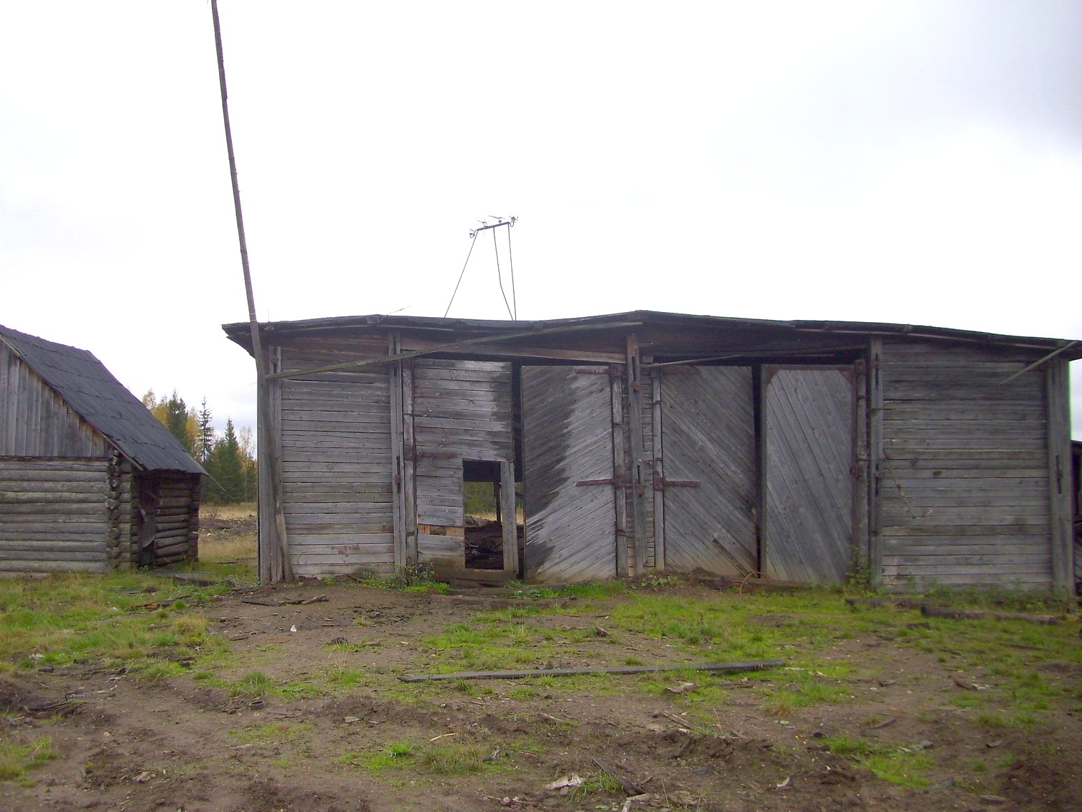 Кобрская узкоколейная железная дорога  —  фотографии, сделанные в 2011 году