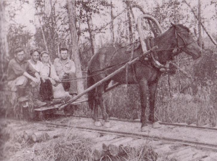 Коуровская узкоколейная железная дорога