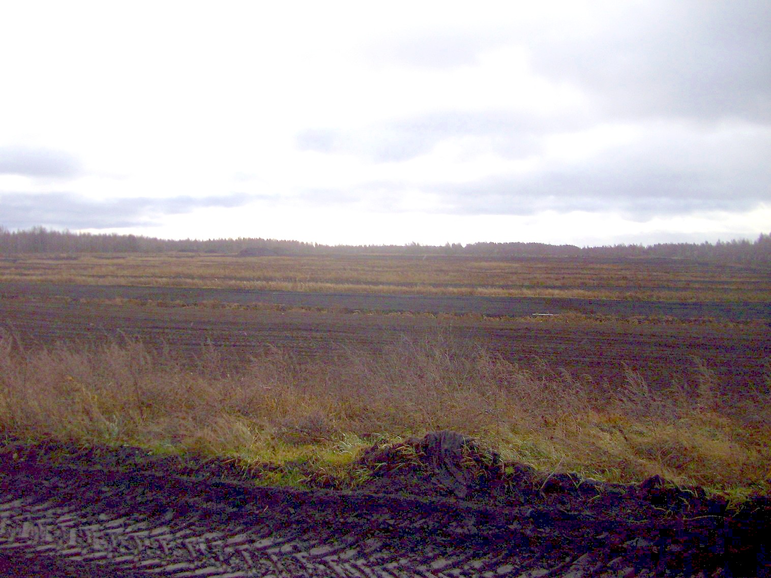 Узкоколейная железная дорога   торфопредприятия   «Красная Звезда» 
  —  фотографии, сделанные в 2011 году (часть 6)