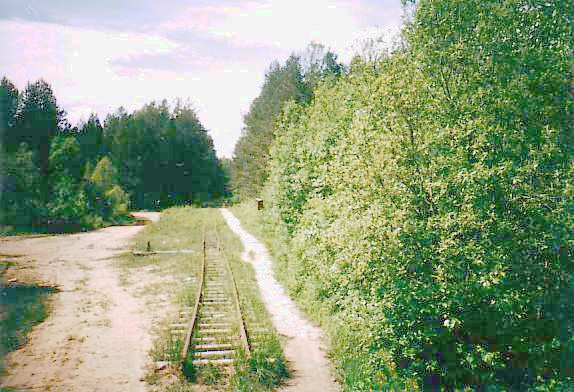 Узкоколейная железная дорога Отворского торфопредприятия   — фотографии, сделанные в 2004 году